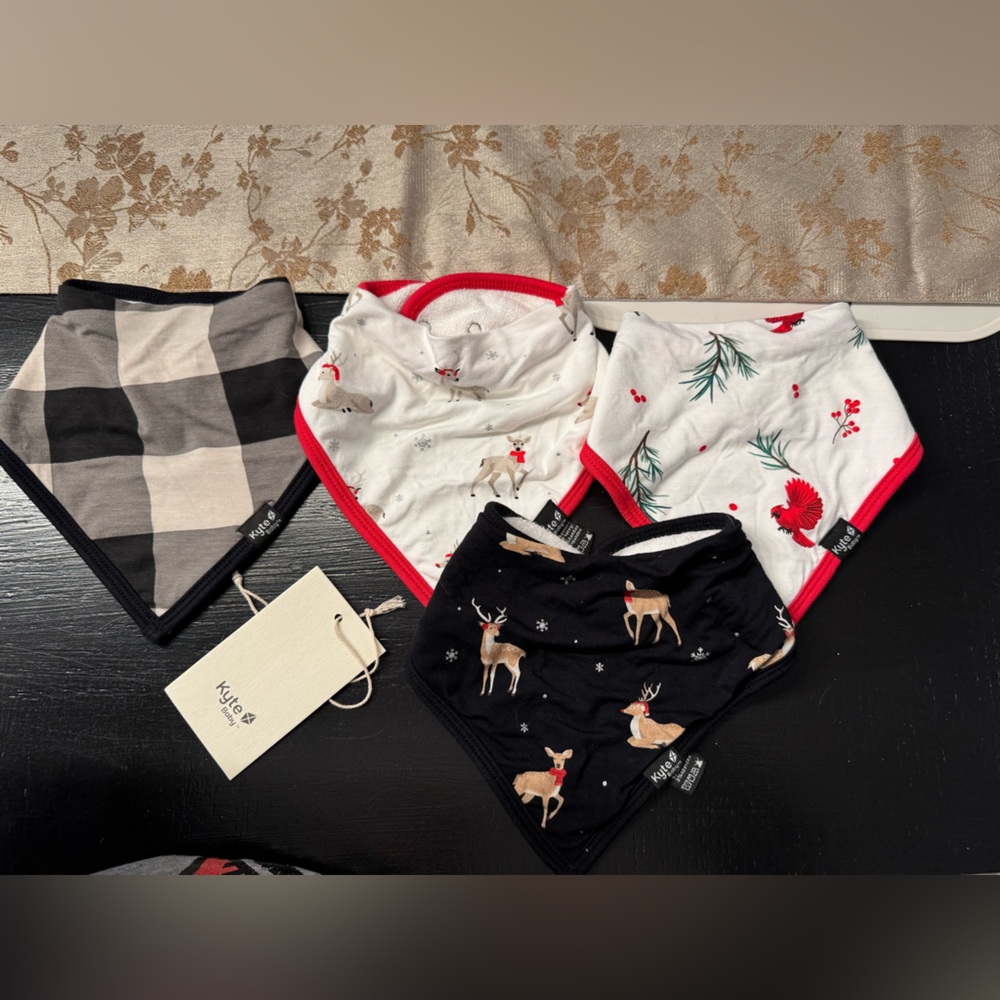 4 Kyte Baby Bibs